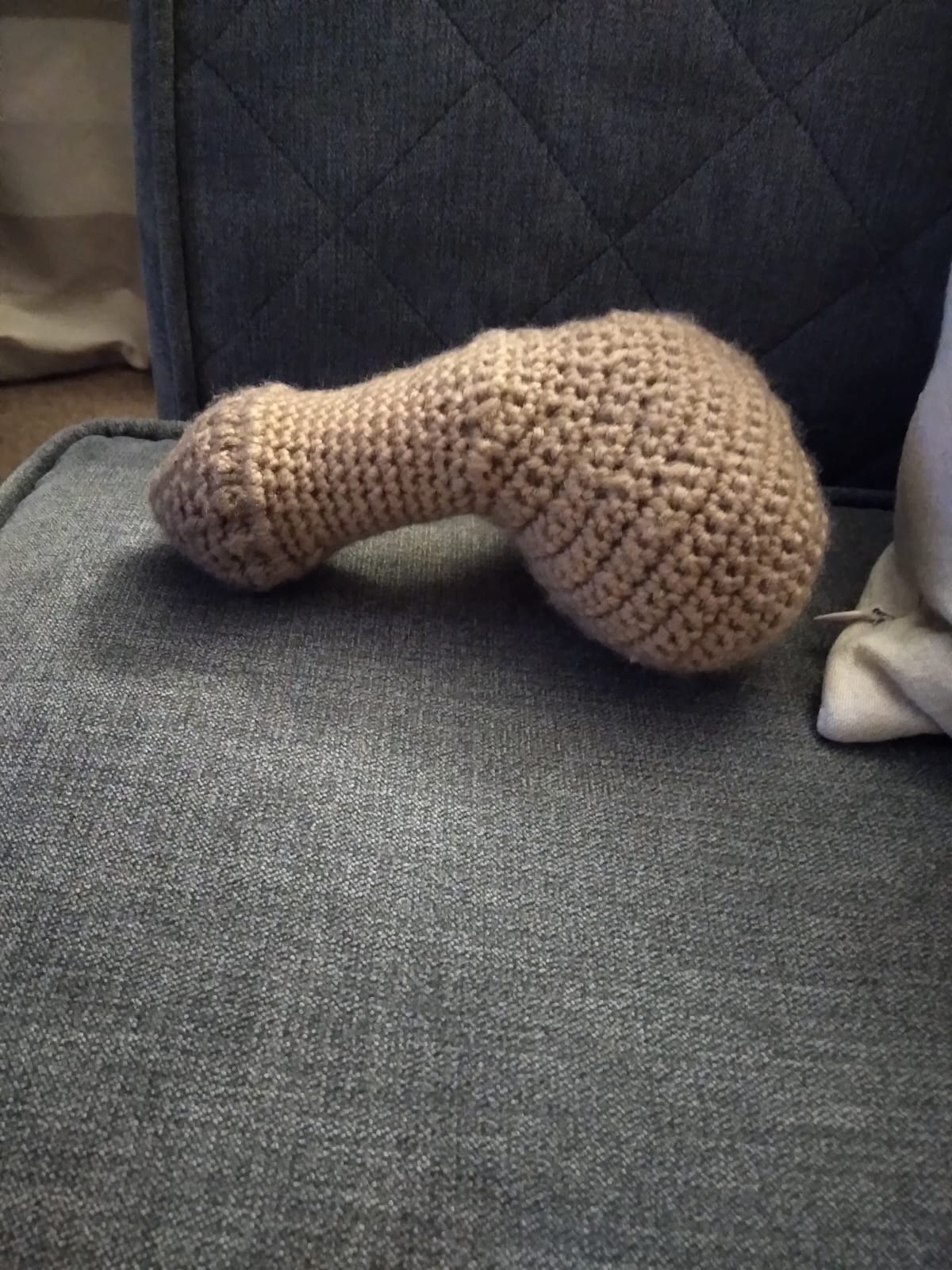 Scrotum and penis