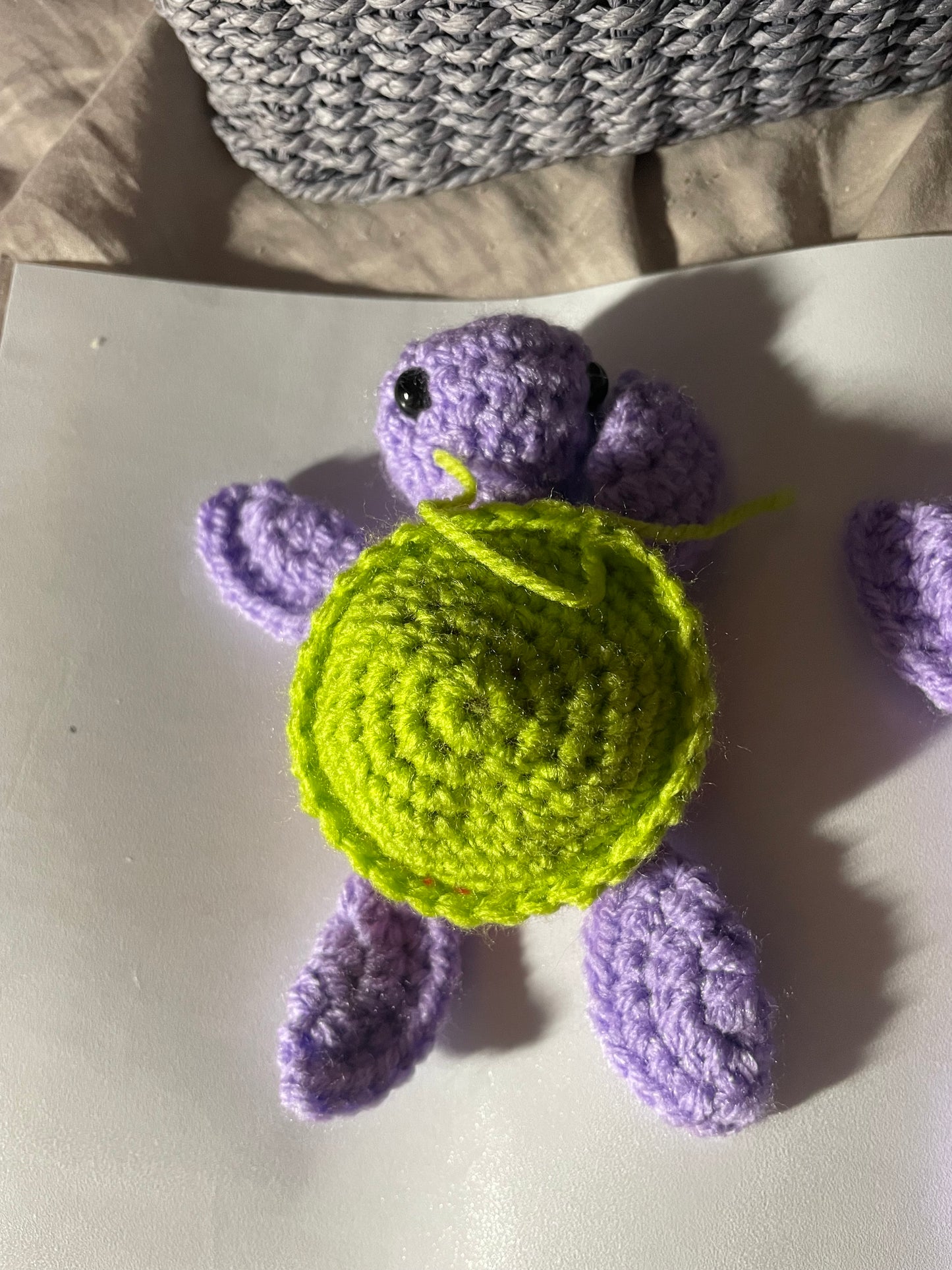 Turtle