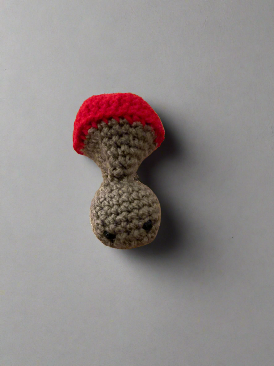 Pop mushroom
