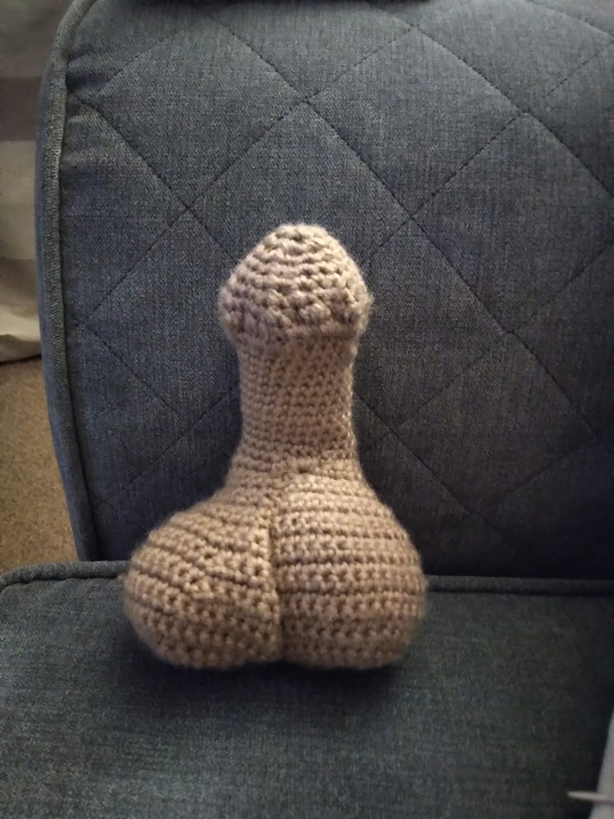 Scrotum and penis